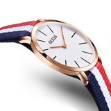 Casual  Ultrathin  Rose Gold Watch